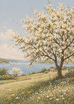 Blommande Träd
