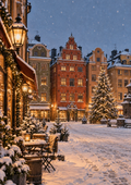 Vintertorget